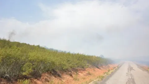 fuego puercas vegalatrave losacio_292