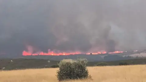 Incendio de Puercas