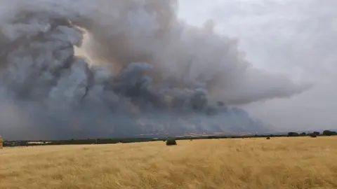 Incendio Forestal Puercas 