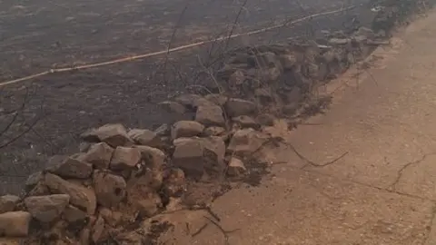 Fuego en Abejera de Tábara_3