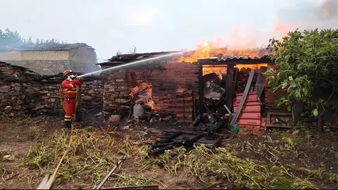UME Abejera vídeo