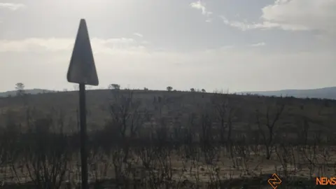 Incendios Forestales Zamora_2