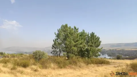 Incendios Forestales Zamora_9