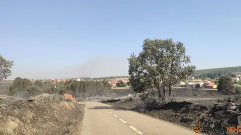 Riofrío de Aliste tras el fuego_4