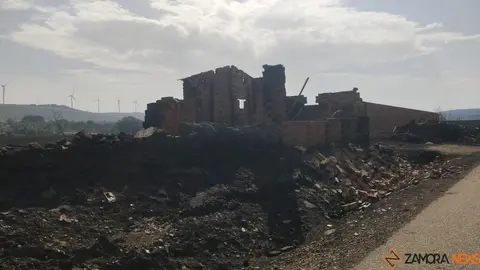 Riofrío de Aliste tras el fuego_5