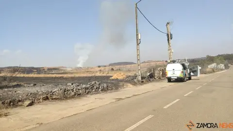 Riofrío de Aliste tras el fuego_11