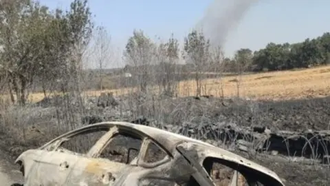 Abejera de Tábara tras el fuego_3