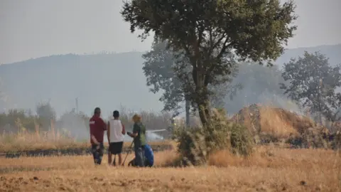 fuego serracín, abejera, riofrio_16