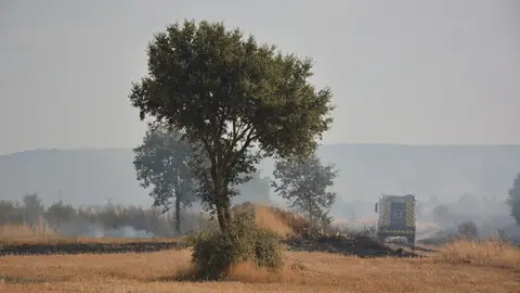 fuego serracín, abejera, riofrio_22