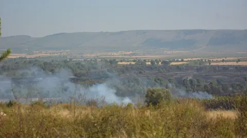 fuego serracín, abejera, riofrio_39