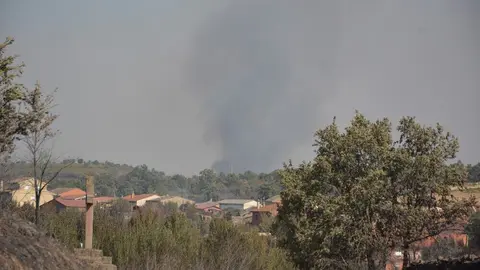 fuego serracín, abejera, riofrio_63