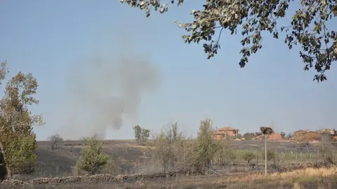 fuego serracín, abejera, riofrio_64