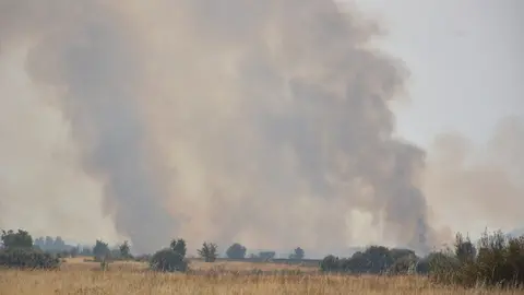 fuego serracín, abejera, riofrio_90