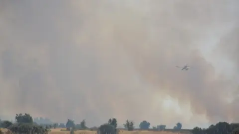 fuego serracín, abejera, riofrio_98