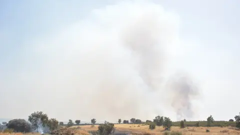 fuego serracín, abejera, riofrio_108