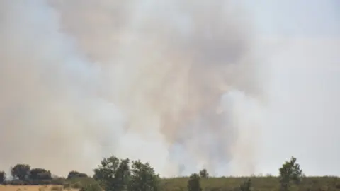 fuego serracín, abejera, riofrio_110