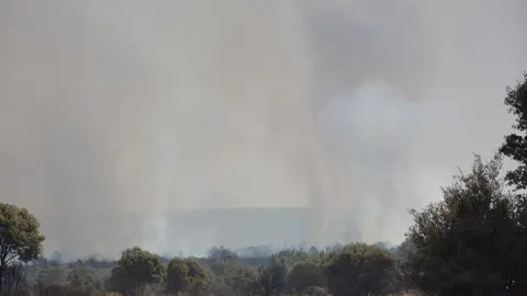 fuego serracín, abejera, riofrio_114