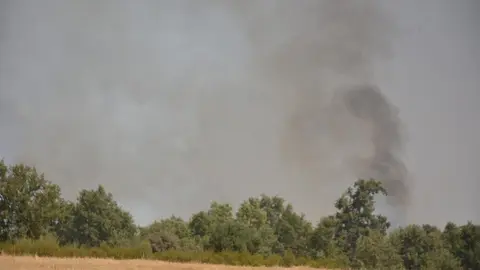fuego serracín, abejera, riofrio_129
