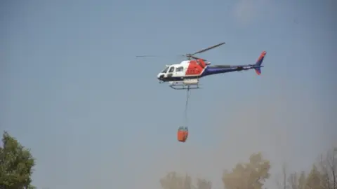 fuego serracín, abejera, riofrio_162