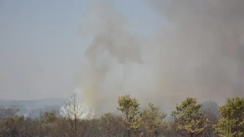 fuego serracín, abejera, riofrio_175