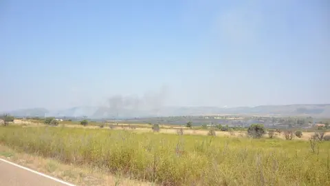 fuego serracín, abejera, riofrio_178