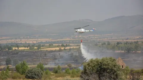 fuego serracín, abejera, riofrio_196