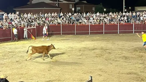 vaquillas Villaralbo