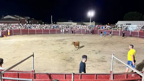 vaquillas Villaralbo _9
