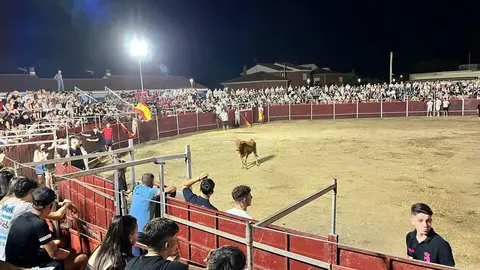 vaquillas Villaralbo _18