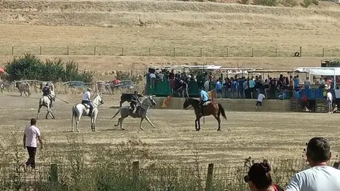 Encierro Fuentelapeña_5