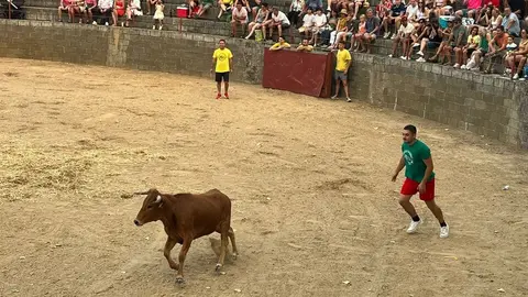 Grand Prix de peñas Coreses_31