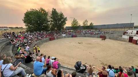 Grand Prix de peñas Coreses_43