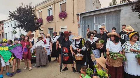 Desfile de carrozas en Quiruelas de Vidriales