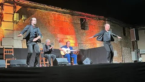flamenco villaralbo  (5)