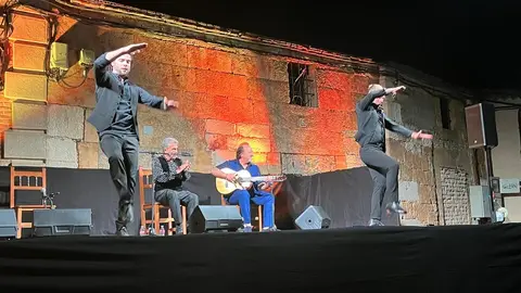 flamenco villaralbo  (12)