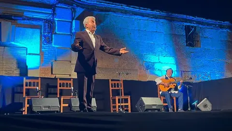 flamenco villaralbo  (14)