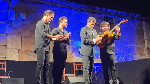 flamenco villaralbo  (17)