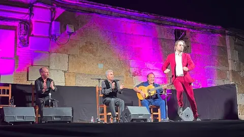 flamenco villaralbo  (18)