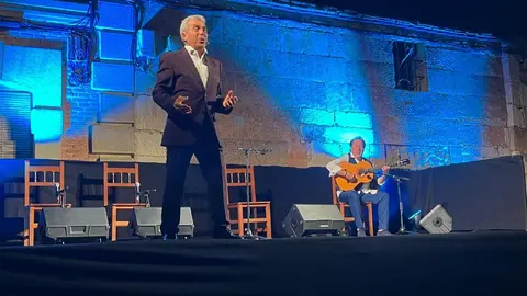 flamenco villaralbo  (20)