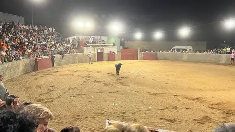 Coreses, vaquillas