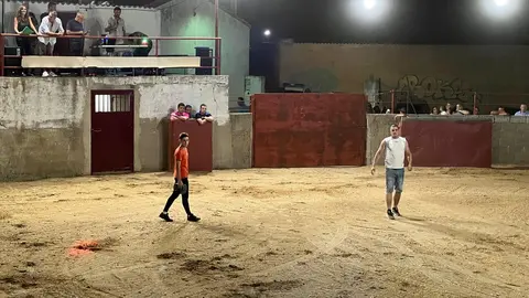 Coreses, vaquillas