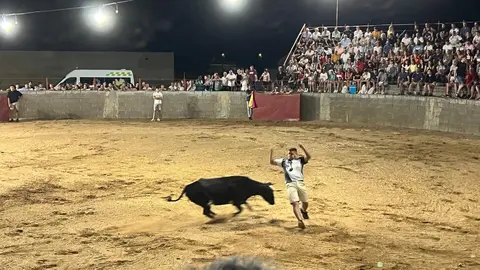 Coreses, vaquillas