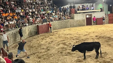 Coreses, vaquillas