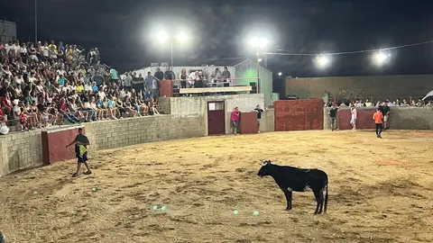 Coreses, vaquillas