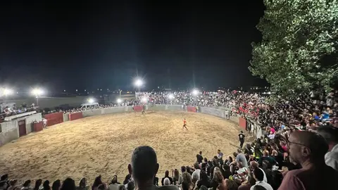 Coreses, vaquillas