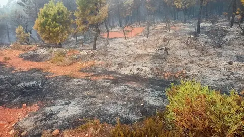 Incendio, Cubo de Benavente