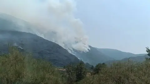 conatos de incendio en Zamora