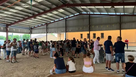 Coreses, vermut torero