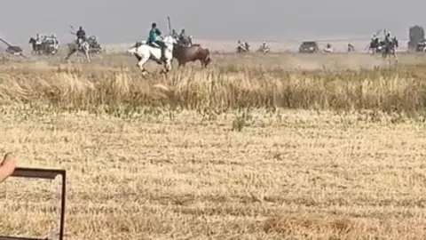 Coreses, encierro campero