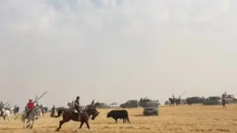 Coreses, encierro campero